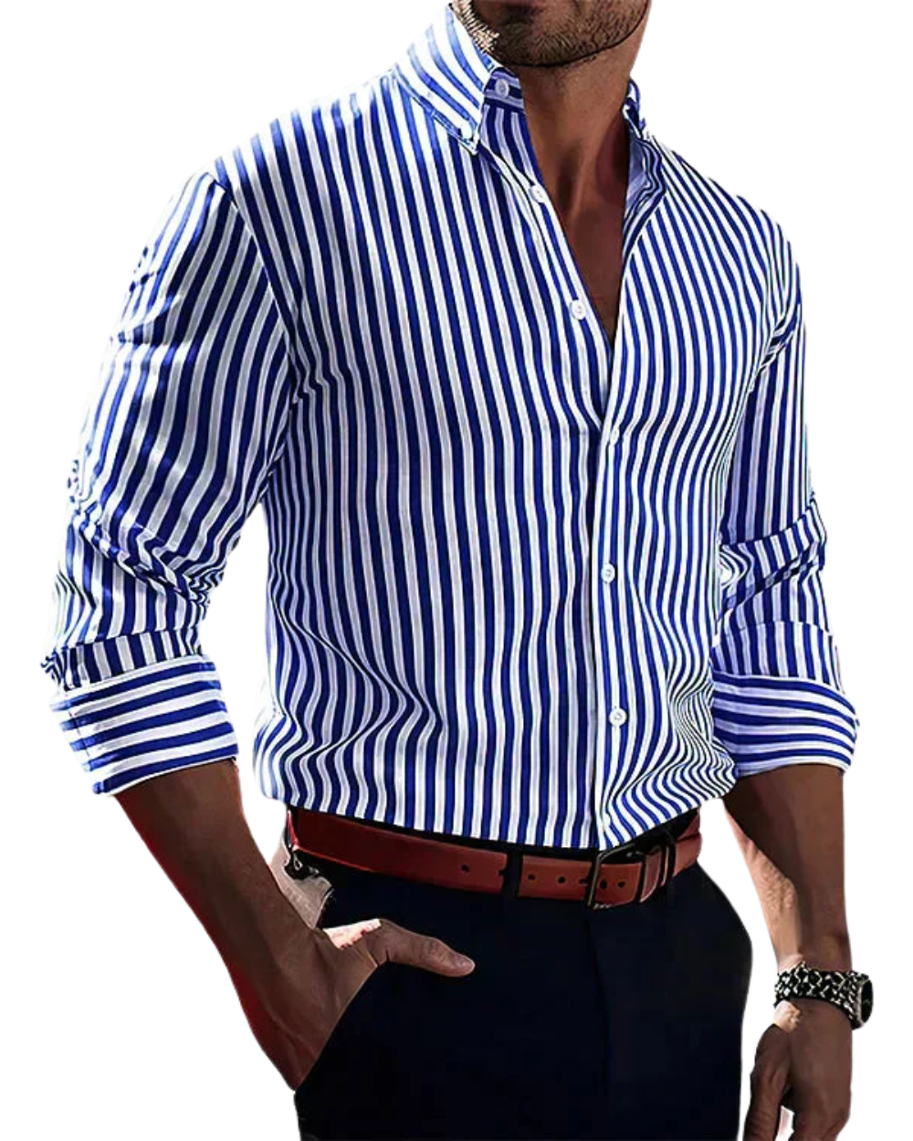 Jonas Elegant Randig Skjorta